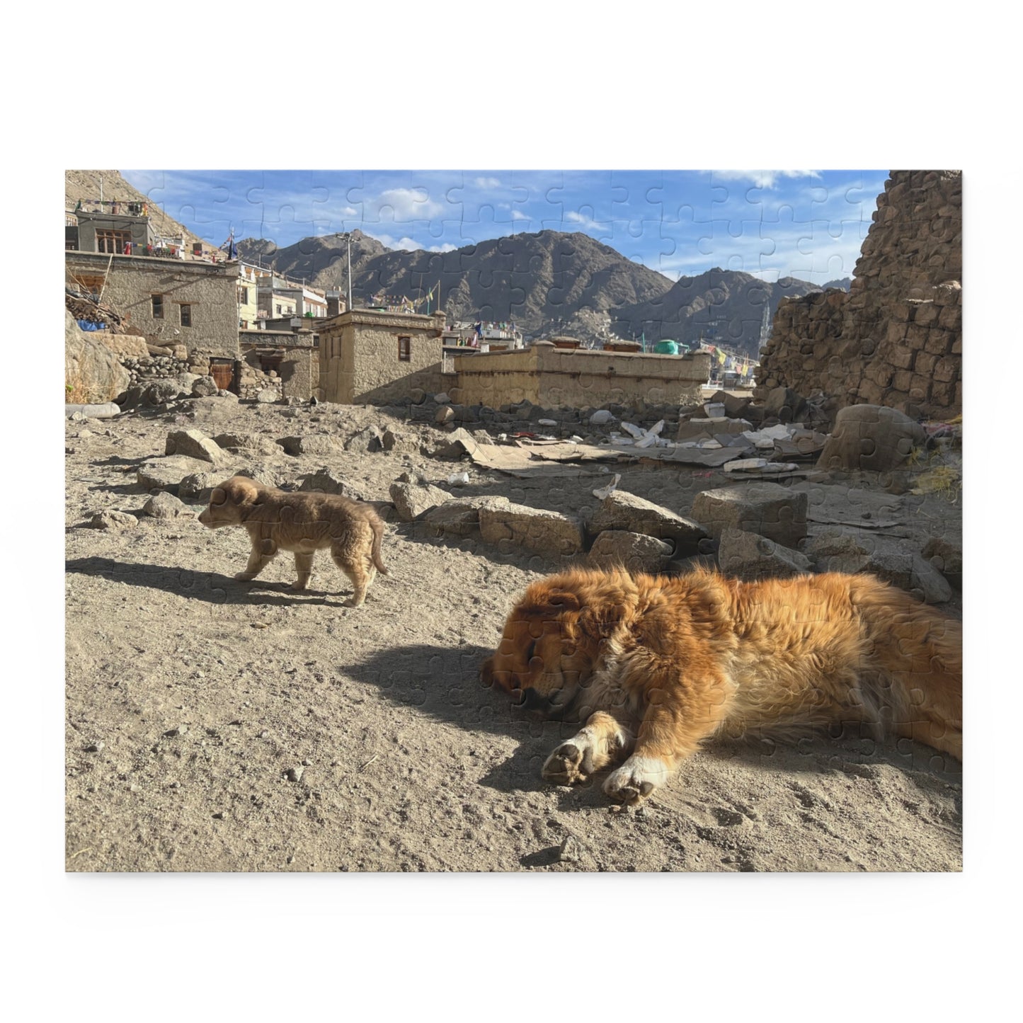Puppies of Ladakh Puzzle (120, 252-Piece)