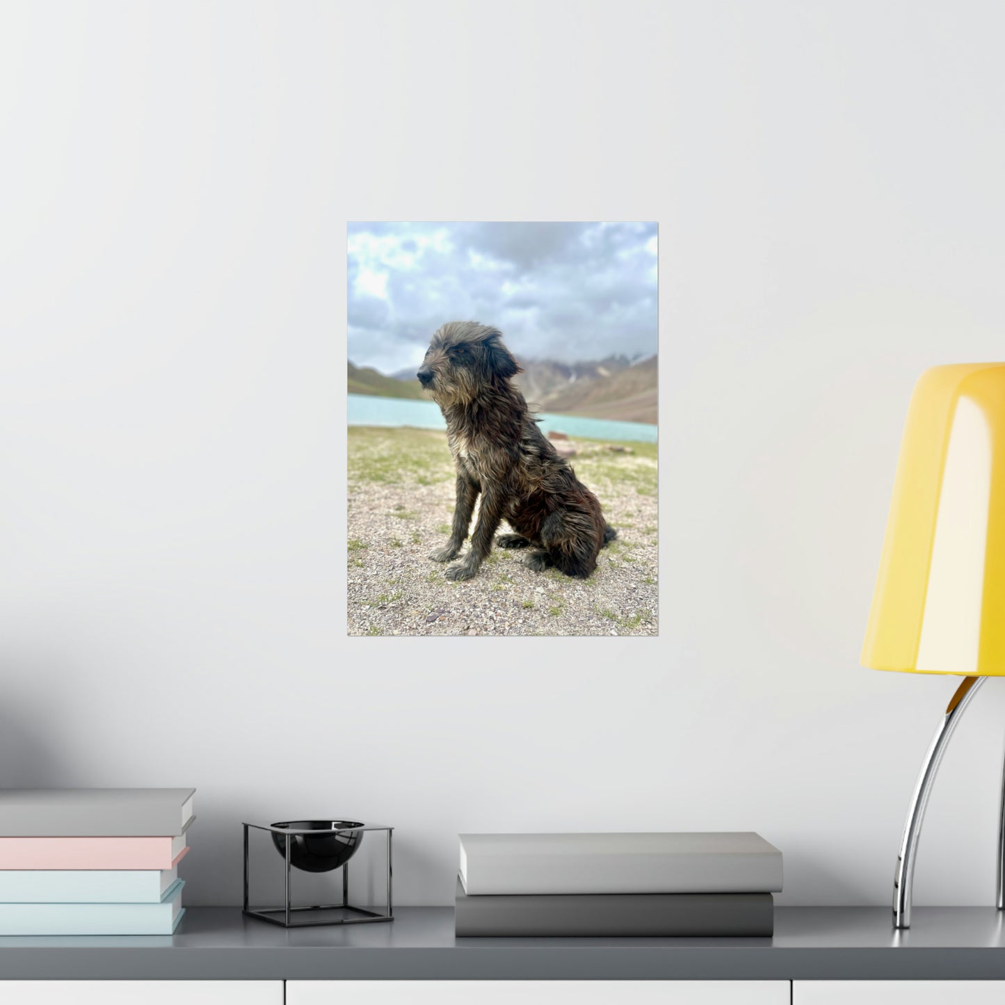 Lakeside Furry Friend Poster - 16" x 12" Photo Print