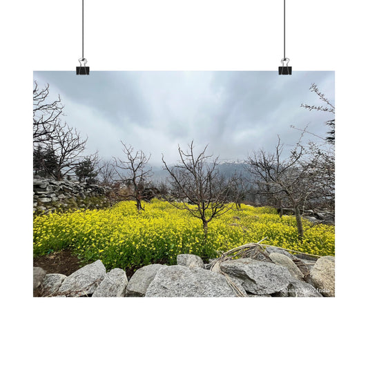 Solang Valley Blooms Poster